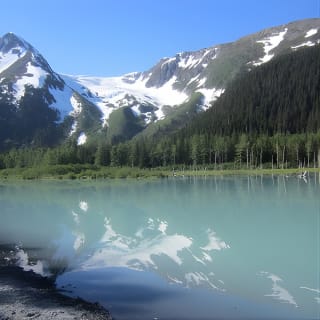 Wildlife and Glaciers with a walk in the Rainforest 8