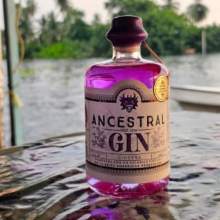 Gin LAB con bombones artesanos 3