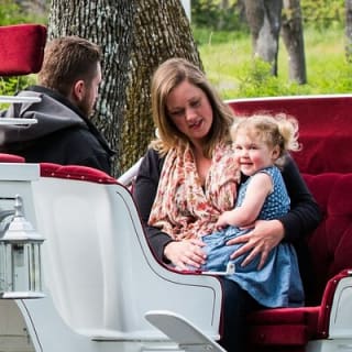 Tour in carrozza trainata da cavalli al Beacon Hill Park 3