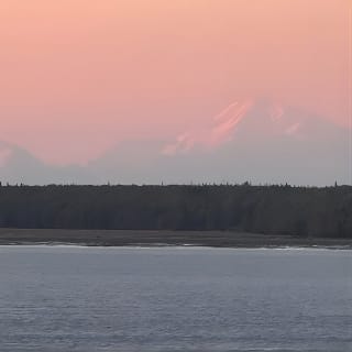 Ultimate Anchorage Winter Wildlife & Sunset Tour 7