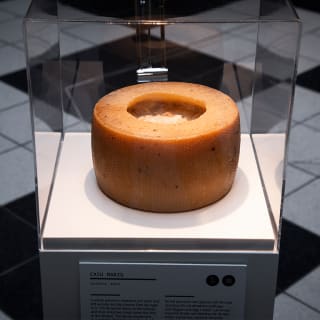 Disgusting Food Museum 1