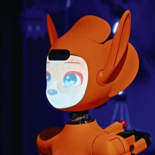 Expérience Mirokaï - Musée Robotique et IA 5