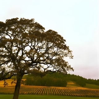 Small Group: Willamette Valley Wine Tour From Portland (Tasting Fees Included) 2