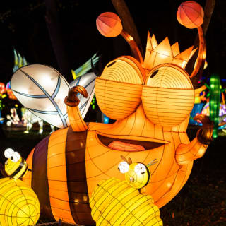 Winter Lantern Festival (Westwego, LA) 5