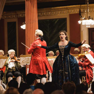 Vienna Mozart Concert at Brahms Saal - Musikverein, Vienna 5