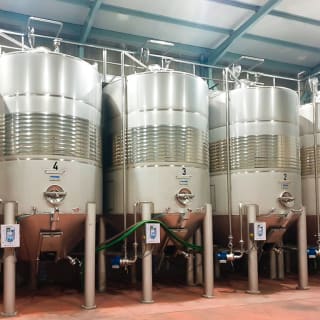 Bodega Tavera: Visita 2