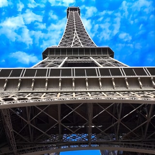 Visite de Paris : Déjeuner à la Tour Eiffel, croisière en bateau et visite du Louvre 12