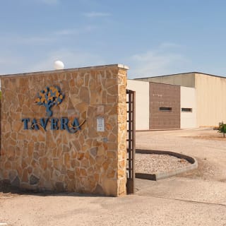 Bodega Tavera: Visita 3