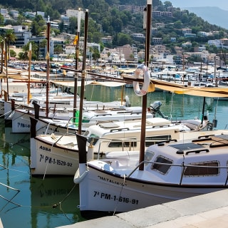 Tour turistico di Maiorca in un giorno con giro in barca e treno d'epoca 13