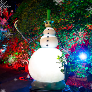 Disney Tim Burton’s The Nightmare Before Christmas Light Trail 4