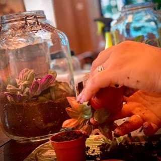 Workshop Terrarium al Serra 3