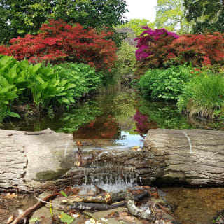 London, Bushy Park Hunt Outdoor Exploration Game 4
