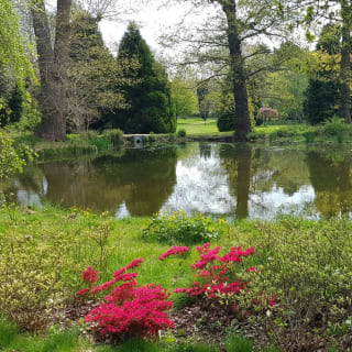 London, Bushy Park Hunt Outdoor Exploration Game 5