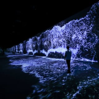 Arte Museum Dubai: Una mostra di arte imm
---
Arte Museum Dubai: una mostra di arte multimediale con scheda regalo 5