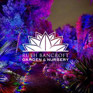 Garden of D'Lights 2