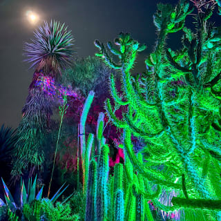 Garden of D'Lights 3