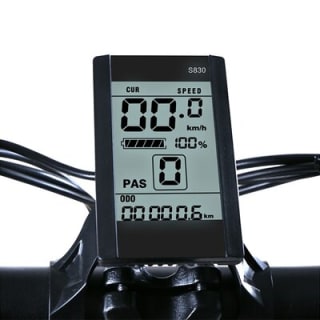 E-Bike-Verleih in NYC 2