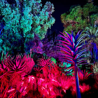 Garden of D'Lights 5