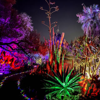 Garden of D'Lights 6