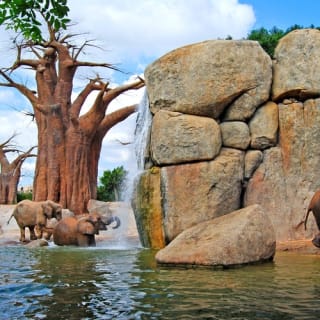 Bioparc Valencia: entrada con acceso rápido 3