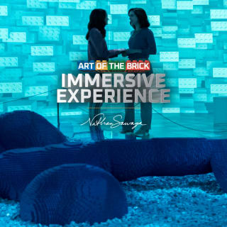 Art of the Brick Immersive Experience 2