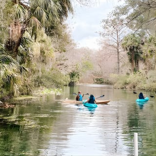 Excursión en kayak con fondo de cristal por Silver Springs! 28