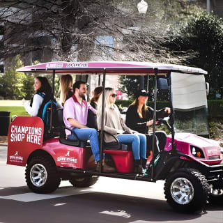 Explore the City of Nashville Sightseeing Tour per Golfwagen 7