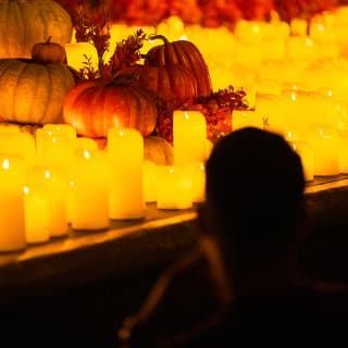 Candlelight: A Haunted Evening of Halloween Classics 4