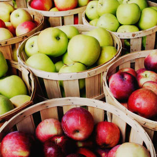 From Manhattan: Fall Apple Picking & Pumpkin Patch Visit Day Trip 2