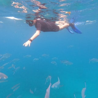Tenerife: Experiencia guiada de snorkel 2