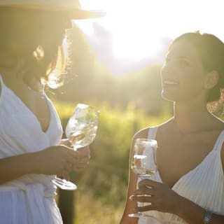Excursión enológica por el valle de Hunter con almuerzo y 3 catas en bodegas 1