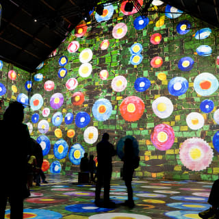 Combiticket Fabrique des Lumières: Hollandse Meesters & Gustav Klimt 2