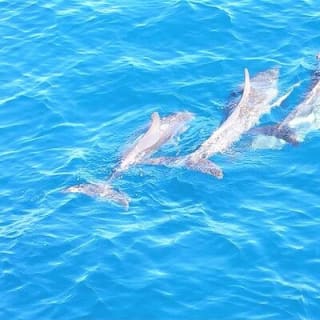 4-Hour Fort Lauderdale Sailing Charter 10