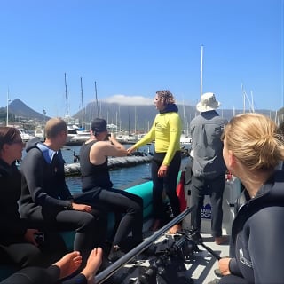 Seal Snorkeling with Animal Ocean in Hout Bay 18
