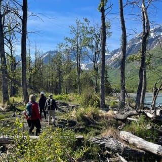 Summer Valley and Forest Hike 2