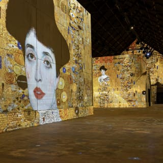 Combiticket Fabrique des Lumières: Hollandse Meesters & Gustav Klimt 4