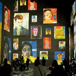 Combiticket Fabrique des Lumières: Hollandse Meesters & Gustav Klimt 6