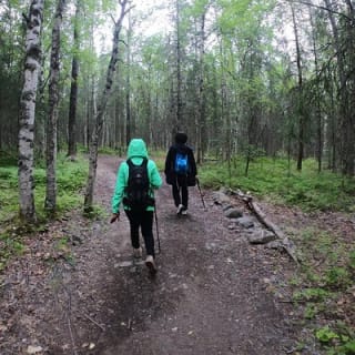 Summer Valley and Forest Hike 3