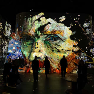 Combiticket Fabrique des Lumières: Hollandse Meesters & Gustav Klimt 7