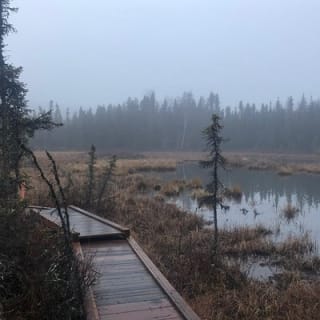 Summer Valley and Forest Hike 4
