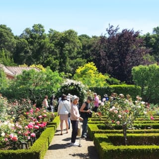 Filoli: historic house and gardens with stunning views! 6