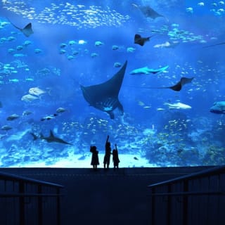 Sentosa Fun Discovery Pass:  A wonderland of awesome attractions 1