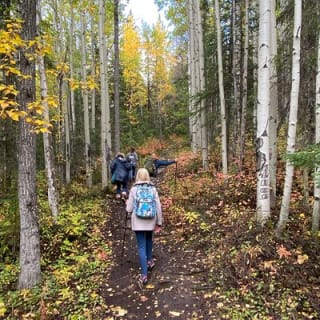 Summer Valley and Forest Hike 5