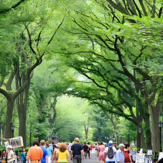 Central Park Photography Tour with Local Photographer 4