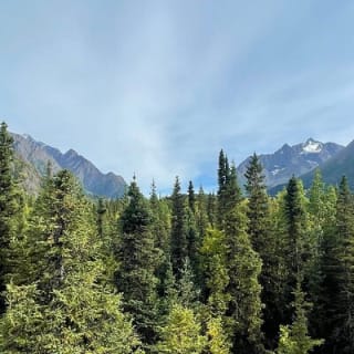 Summer Valley and Forest Hike 6