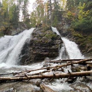 Summer Valley and Forest Hike 8