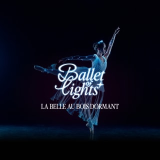 Ballet of Lights: Sleeping Beauty in a Sparkling Show 2