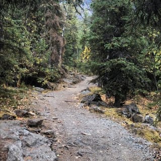 Summer Valley and Forest Hike 10