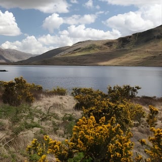 From Galway: Guided tour of Connemara with 3 hour stop at Connemara National Pk. 9
