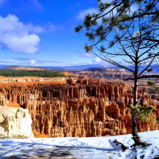 Bryce Canyon und Zion Nationalpark Tagesausflug von Las Vegas 7
